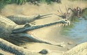 Sự thật bất ngờ đằng sau hóa thạch cá sấu kỷ Jura dài gần 4,5 mét