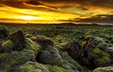 Lạc đến Mặt Trăng trên cánh đồng dung nham rêu phủ Iceland