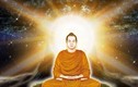 Phật dạy: Chất chứa oán hận chỉ càng hủy diệt bản thân