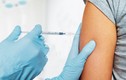Những lưu ý 'sống còn' khi tiêm vắc xin cúm, ai cũng nên biết
