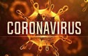 Bác sĩ nói gì về “quan hệ tình dục giúp chống virus corona”?