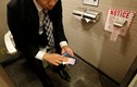 Giấy vệ sinh đặc biệt ở Nhật Bản khiến cả thế giới ngưỡng mộ