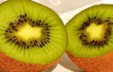 5 loại trái cây giúp bạn giảm cân siêu tốc