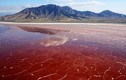Hồ nước đỏ như máu tưởng đẹp lại khiến nhiều sinh vật "hóa đá"