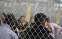 Bên trong khu tạm giữ trẻ em nhập cư khiến dư luận Mỹ sục sôi
