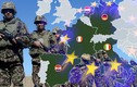 Đã tới lúc sứ mệnh của NATO nên kết thúc?