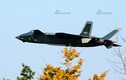 Tranh thủ F-35 nằm đất, Trung Quốc tăng tốc sản xuất J-20?