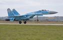 Đi tìm lai lịch chiến đâu cơ Su-27 vừa rơi ở Ukraine