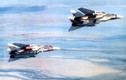 Chiến công kỳ lạ của F-14 Iran, một tên lửa hạ ba máy bay