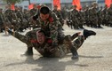Quân đội Trung Quốc dời trụ sở 5 quân chủng ra khỏi Bắc Kinh?