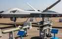 UAV nào của Trung Quốc bị "giẵm đạp" ở Nga, "rụng như sung" ở Trung Đông?