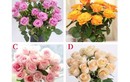 Trắc nghiệm tâm lý: Bạn thích bó hoa hồng nào nhất?