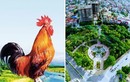 10 điều thú vị về tỉnh, thành ở Việt Nam: Nơi nào lớn nhất nước, nơi nào gà gáy cả 3 nước đều nghe?