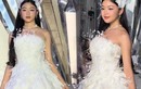 Con gái vàng ngọc của Quyền Linh lần đầu catwalk ở tuổi 18, khoe sắc không kém đàn chị Hoa hậu