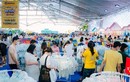 Điểm nhấn mới lạ tại Festival Mẹ Bầu và Em Bé 2024