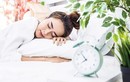 Ngủ sớm, dậy sớm tưởng đúng nhưng chưa chắc đã khoa học, cách ngủ này mới thật sự có lợi cho sức khỏe!