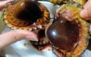 Đặc sản ở quê tên rất lạ, mỗi năm chỉ có một mùa, nay thành món ăn khoái khẩu giá 300.000 đồng/kg, tốt cho sức khỏe