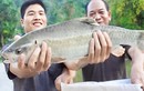 Nuôi loài cá đặc sản từng để tiến vua nhưng 10 năm mới đẻ, ông nông dân Hà Giang bỏ túi 300 triệu đồng/năm
