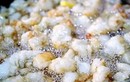 Đặc sản xưa dành cho "người nghèo", nay thành món khoái khẩu giá 500.000/kg, lọt top thực phẩm tốt nhất thế giới