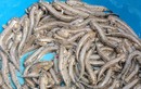 Đặc sản chỉ có ở Hải Phòng, xưa cho lợn ăn nay thành đặc sản nổi tiếng khắp nơi vì hương vị lạ, 350.000 đồng/kg