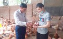 Nuôi loài có "mắt hoa hậu", vừa đẹp vừa ngon lại mắn đẻ, anh nông dân Phú Thọ ngồi không thu lãi 300 triệu đồng/năm 