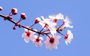 Người tương lai ắt sẽ giàu có 3 điểm không thể che giấu