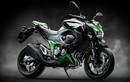 Ninja RR Mono ra mắt “con cưng” Z250SL cực chất