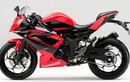 Môtô giá rẻ Kawasaki Ninja 250SL đổi diện mạo đẹp bất ngờ