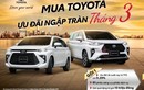 Tháng 3 sôi động với ưu đãi hấp dẫn cho khách mua Veloz Cross và Avanza Premio