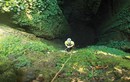 Quảng Bình: Phát hiện hang động lớn hơn cả Sơn Đoòng