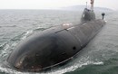 Infographic: Tàu ngầm hạt nhân Nerpa
