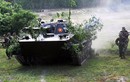 Xem “kình ngư” PT-76 Trung đoàn 206 huấn luyện