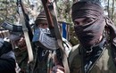 Al-Qaeda “tiêu diệt” chỉ huy quân nổi dậy Syria