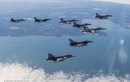 Mỹ thanh tra bất ngờ, không quân NATO có nguy cơ "nằm đất"