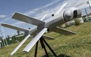 Phòng không Ukraine vất vả đối phó UAV cảm từ từ Nga