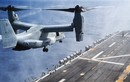 Trực thăng lai siêu dị V-22 Osprey xuất hiện trong chiến dịch tiêu diệt Baghdadi?