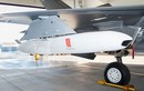 F-35 kết hợp tên lửa chống hạm thế hệ 5: Mối đe dọa chết chóc?