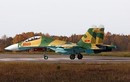 Việt Nam sắp nhận lại tiêm kích Su-27UBK sau đại tu ở Belarus 