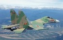 Sự thật về thông tin "máy bay Su-30 rơi ở Bình Phước" 