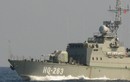Sau Pohang 20, Hải quân Việt Nam sẽ mang "tên lửa quốc dân" Kh-35 lên tàu Svetlyak?