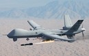 Bị bắn hạ 5 lần ở Trung Đông, "Ác điểu" MQ-9 sắp bị Mỹ cho "về vườn"? 