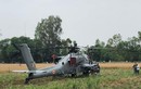 Chưa kịp thị uy, AH-64E Apache Ấn Độ đã phải hạ cánh khẩn cấp trên.. cánh đồng