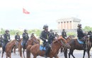 Cảnh sát cơ động kỵ binh VN thuần hóa được bao nhiêu ngựa hoang?