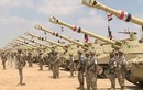 Giận Thổ Nhĩ Kỳ, Ai Cập đẩy quân trợ giúp Quân đội Quốc gia Libya 