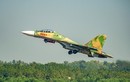 Tiêm kích Su-30MK2 Việt Nam xé gió luyện đòn trên không