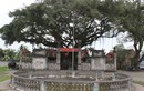 Huyền bí “thần mộc” ở đền Thái úy