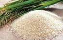 Bột gạo nếp hỗ trợ trị bệnh đường ruột
