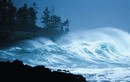 Sóng thần đổ vào bờ biển Việt Nam phải mất 2 giờ