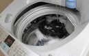 Tại sao máy giặt rung lắc sau khi vận chuyển?