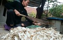 Về làng biệt dược nghìn năm tuổi độc nhất tại Việt Nam